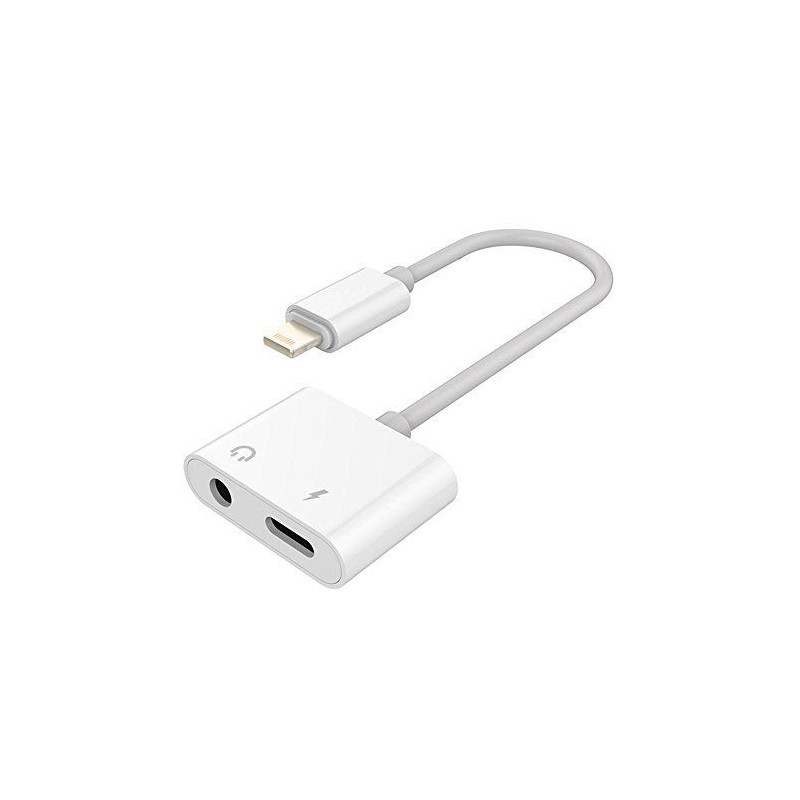 Lightning to 3.5mm Audio Jack and Power Adapter