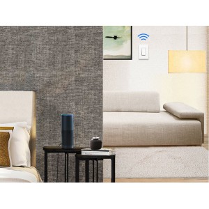 Smart Wi-Fi Light Switch HS200