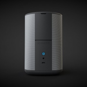VAUX Portable Speaker for Echo Dot - Grey