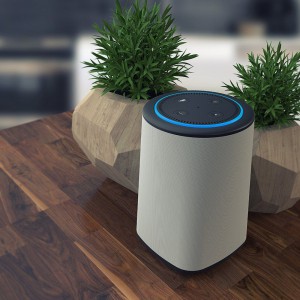 VAUX Portable Speaker for Echo Dot - Grey