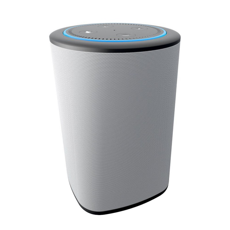 VAUX Portable Speaker for Echo Dot - Grey