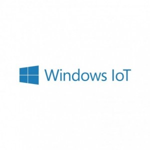 Pinnpos Windows 10 Iot Enterprise 2021 Individual Key Entry