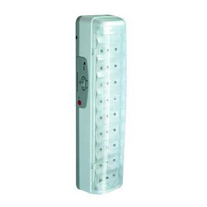 ACDC RWELEDJ-2 30 LED Emergency Light