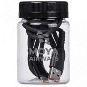 Altitude Capsit Fast Charge A2C Cable in Jar