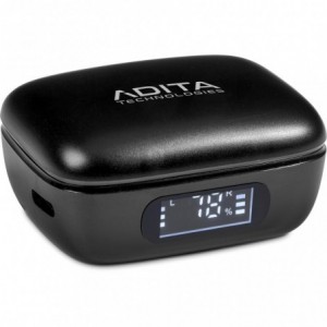 Swiss Cougar Los Angeles TWS Earbuds with LED Display Case