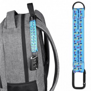 Altitude Straptique Double-Sided Carabiner Keyholder - Sample