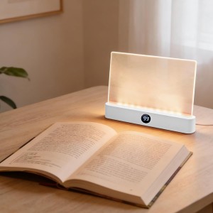 Flat LED Reading Light (USB-C Charger)