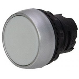 22MM White Flush Momentary Push Button Head