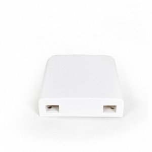 Acconet Termination Box 2 Port