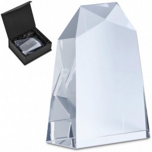 Altitude Milestone Optical Glass Award