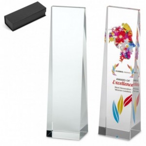 Altitude Hubris Optical Glass Award