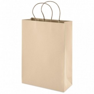 Altitude Memento Maxi Kraft Paper Gift Bag (26 x 11 x 36)