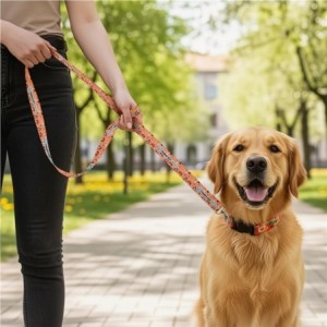 Hoppla Buddy Polyester Dog Leash - 1m x 2.5cm