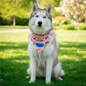 Hoppla Bosco Large Polyester Dog Bandana - Neck Up to 66cm