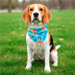 Hoppla Tyson Small Polyester Dog Bandana - Up to 43cm Neck