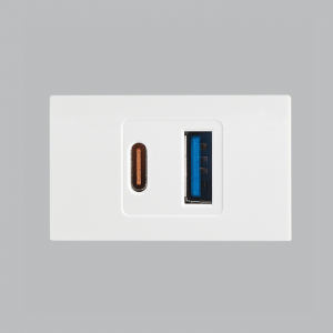 Modular White USB Type A + Type C