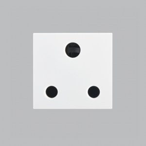 Modular White 16A Socket Module