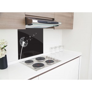 PARROT 598X650x4MM DANDELION HOB SPLASHBACK