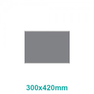 PARROT SIGN FRAME 300x420mm (A3) (M)
