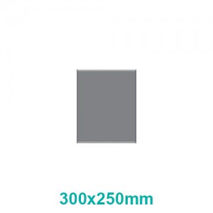 PARROT SIGN FRAME 300x250mm (M)