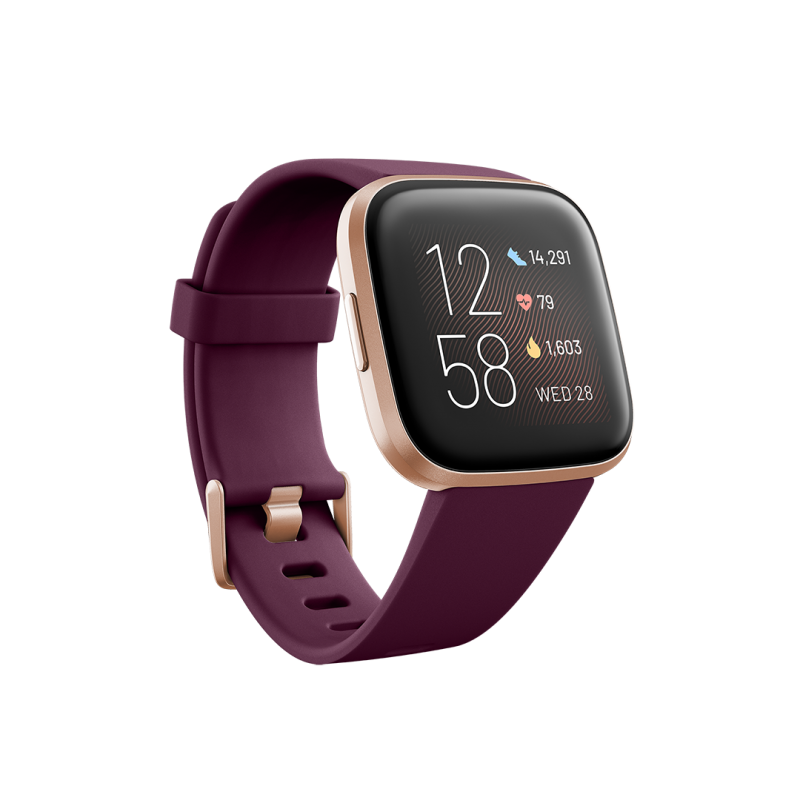 Fitbit Versa 2 Smartwatch - Bordeaux/ Copper Rose (with Small and Large ...