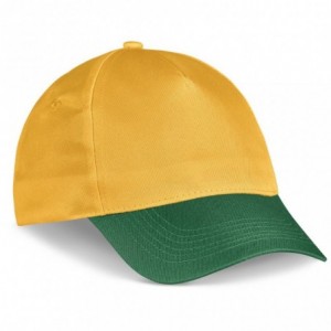 Fanflare Cap - 5 Panel