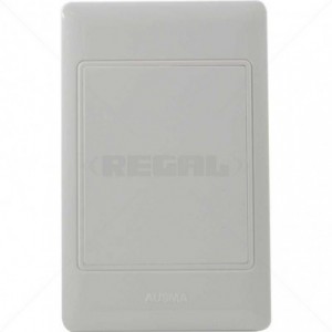 Conduit PVC Cover Plate 4 x 2 Inch Box