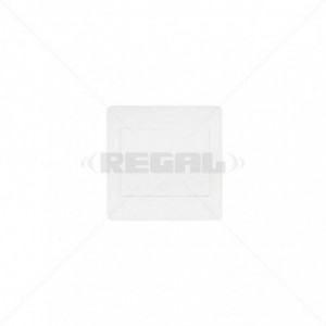 Conduit PVC Cover Plate 4 x 4" Box