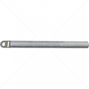Gemini Limit Spring + Screw 06650
