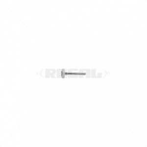 DigiDoor - Roller 10 Ball Nylon Coated