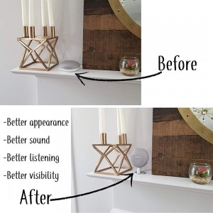Mount Genie Google Home Mini Stand