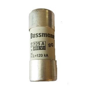 OmniPower Fuse 125A 22x58