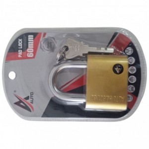 60mm Auto Security Padlock (Model AY074-019)