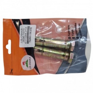 Rawl Bolt M10 x 70mm Anchor Bolt (JS36-1070)