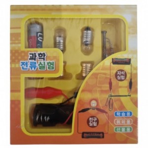 Science Kit battery lights