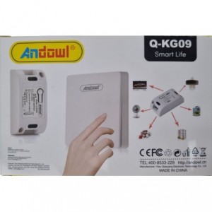 ANDOWL Q-KG09 Smart Switch 10amp