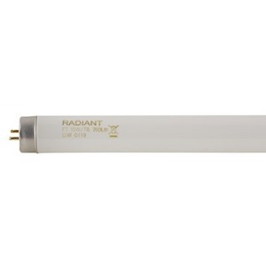 Radiant T8 Fluorescent 15w G13 Cool White
