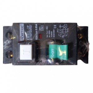 Earth Leakage MINI Rail 2POLE 63A Raytric