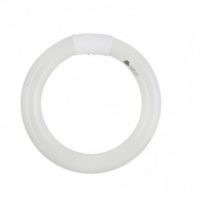 G10q - 22w T9 Circular Coolwhite