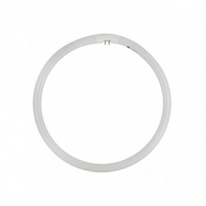 G10q - 40w T5 Circular Coolwhite -RADIANT