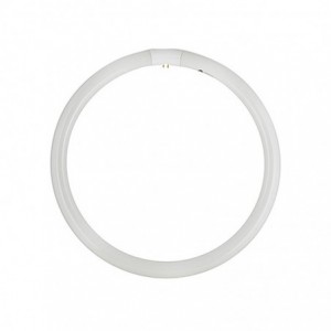 G10Q T9 Fluorescent Circulene Lightbulb - 40W / Cool White