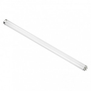 T12 Fluorescent 40w G13 1.2m 4ftCoolwhite RADIANT