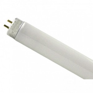 OSRAM T8 Fluorescent Lightbulb - 18w / Cool White / 2FT