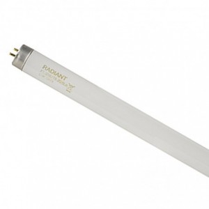 T8 Fluorescent 36w 3250lm 4ft 1.2mWarmwhi RADIANT