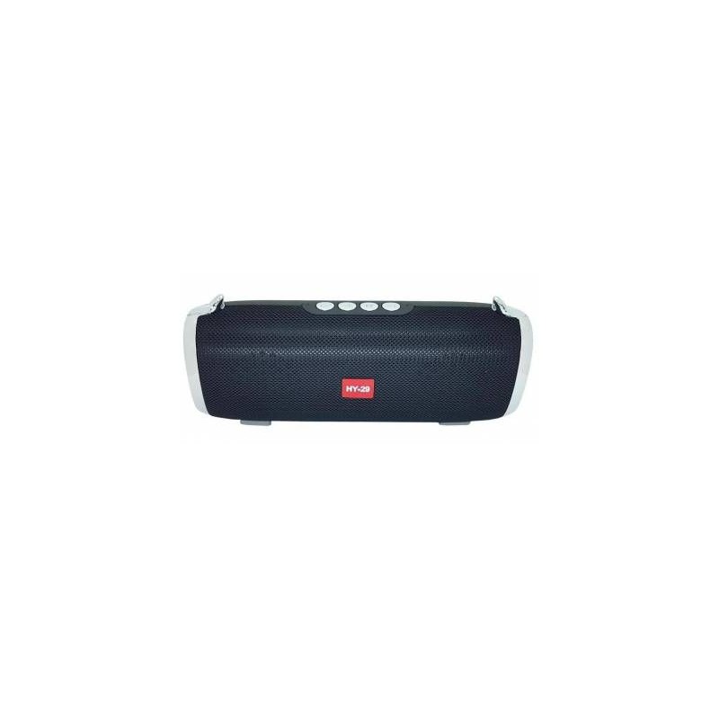 Microworld HY29 Black Bluetooth Speaker / USB / FM / MicroSD