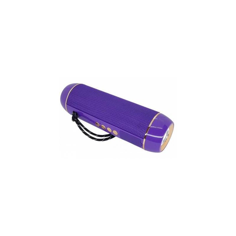 Microworld H13 Purple Bluetooth Speaker / USB / FM / MicroSD