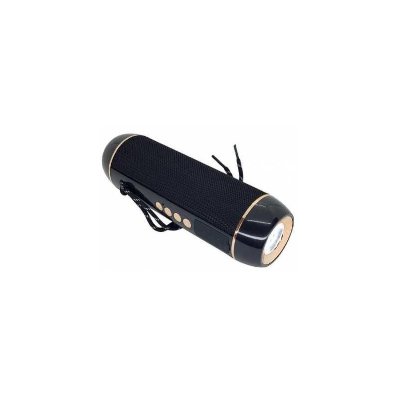 Microworld H13 Black Bluetooth Speaker / USB / FM / MicroSD