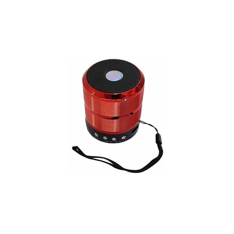 Microworld S887 Bluetooth Speaker / USB / FM / MicroSD