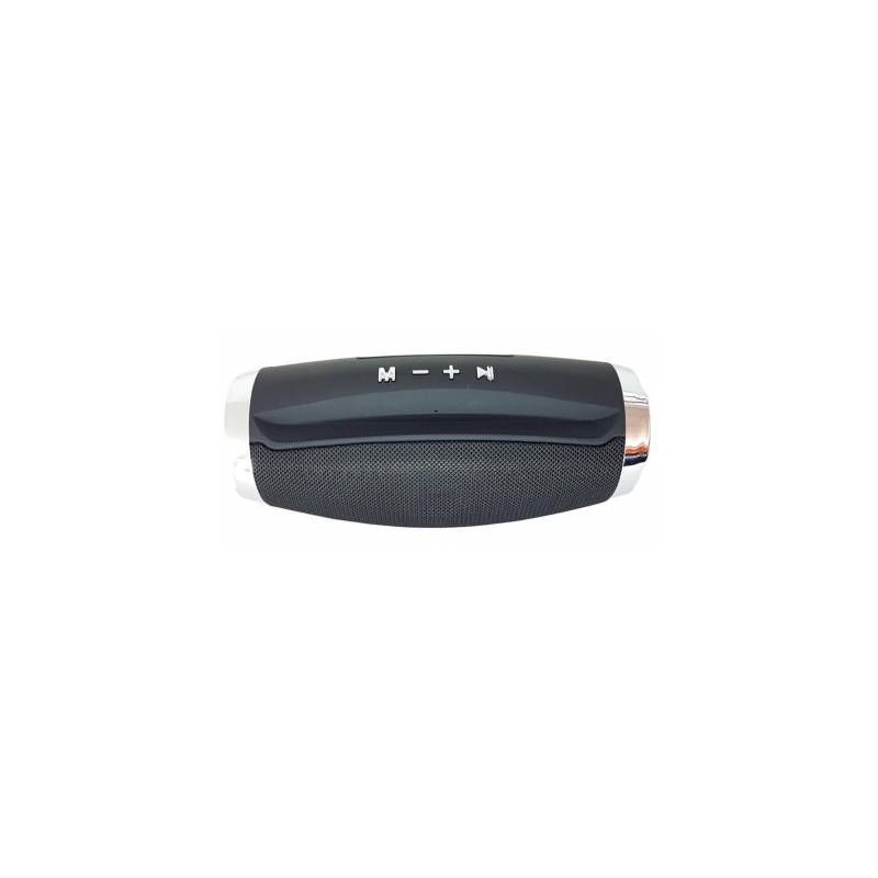 Microworld G30 Black Bluetooth Speaker / USB / FM / MicroSD