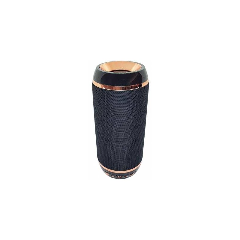 Microworld R4 Black Bluetooth Speaker / USB / FM / MicroSD